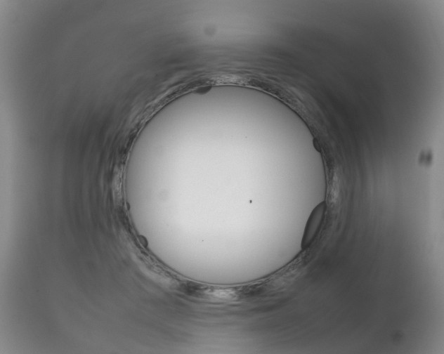 X0000111230409200907021029