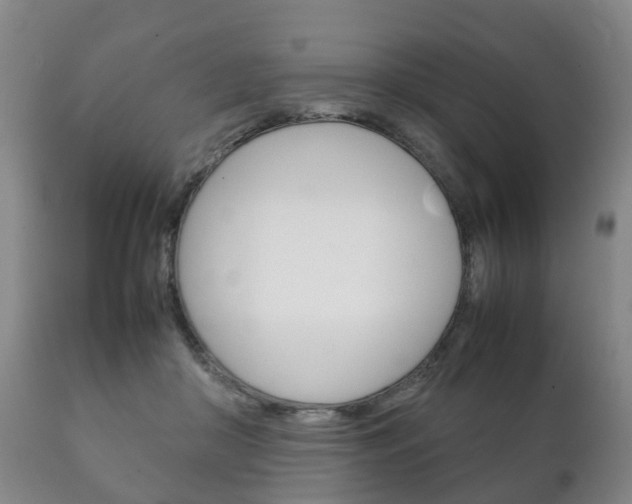 X0000111230410200907021029