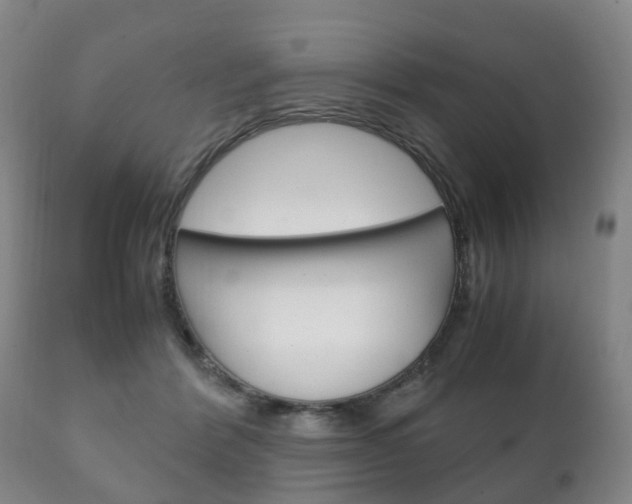 X0000111230412200907021029