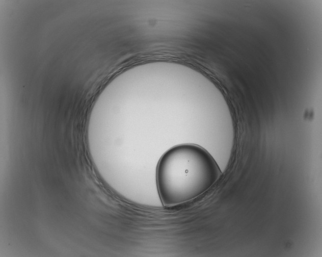 X0000111230413200907021029