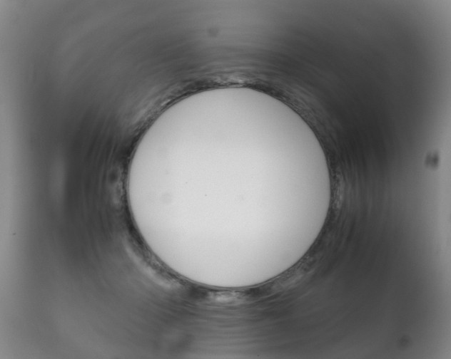 X0000111230414200907021029