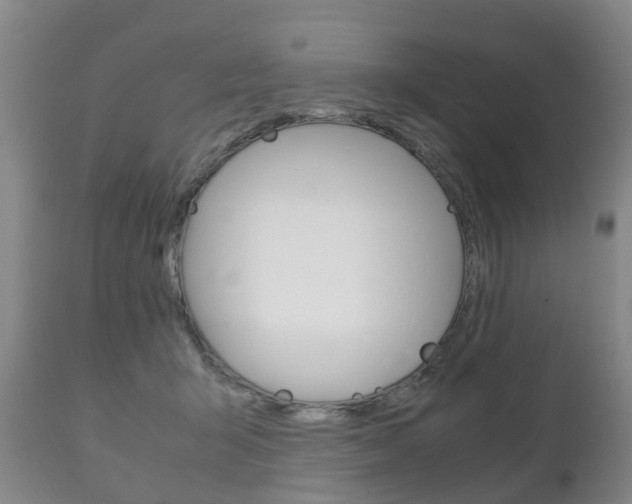 X0000111230415200907021028