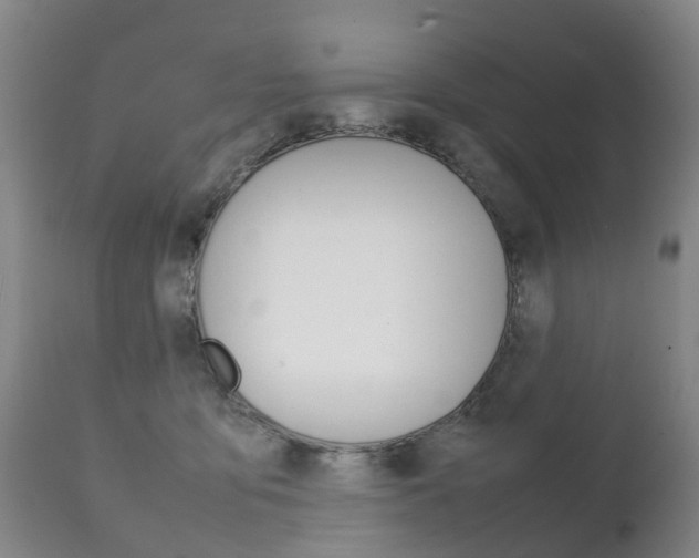 X0000111230419200907021028