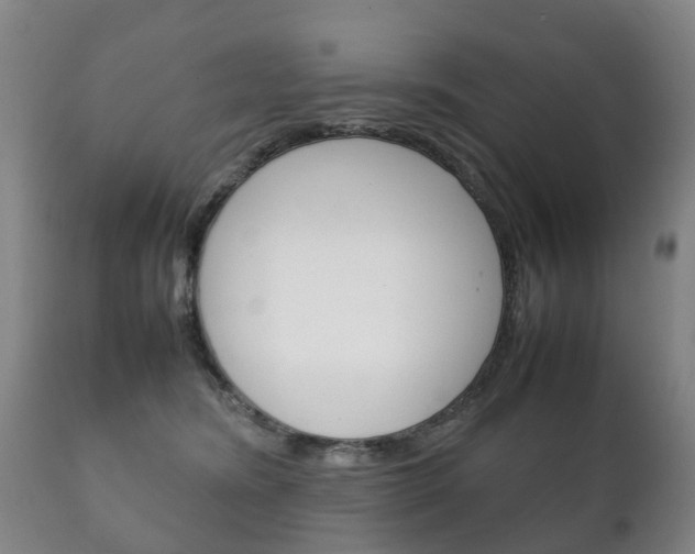 X0000111230420200907021028