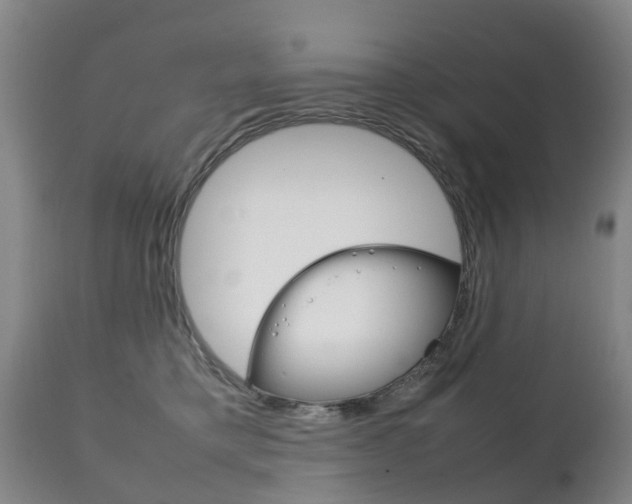 X0000111230421200907021028