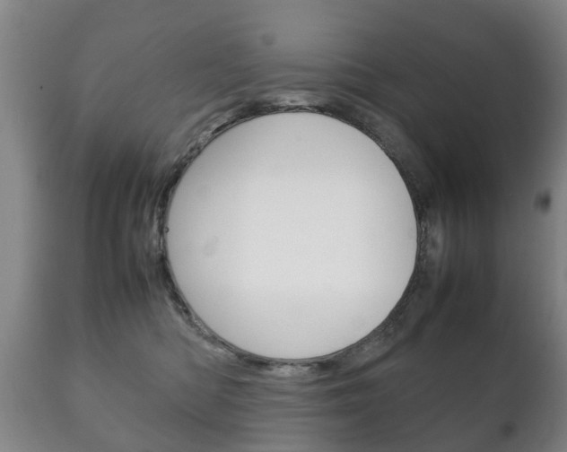 X0000111230422200907021028