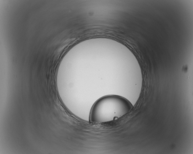 X0000111230423200907021028