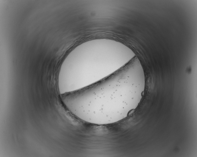 X0000111230424200907021028
