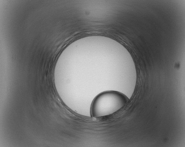 X0000111230425200907021028