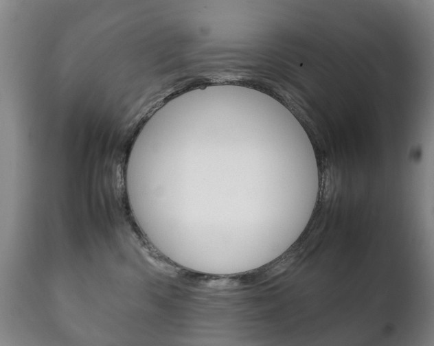 X0000111230426200907021028