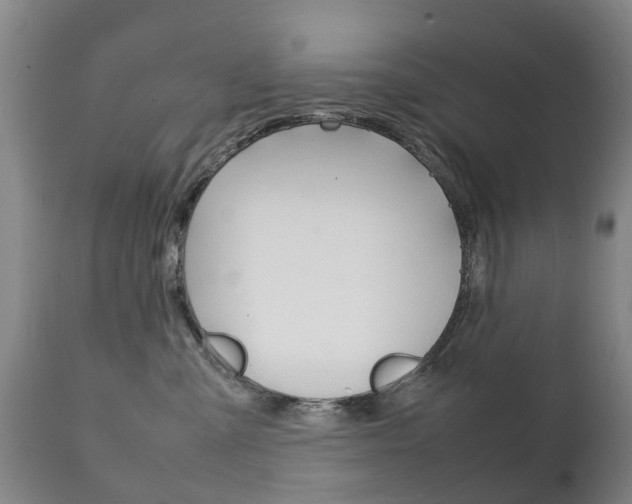 X0000111230427200907021028