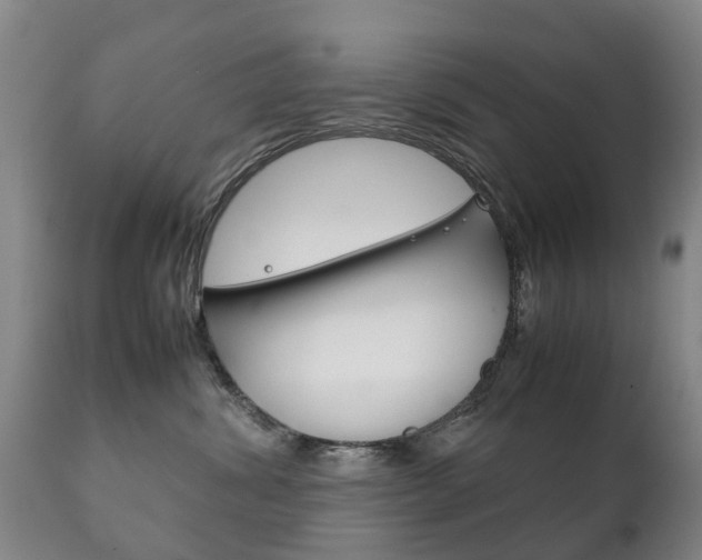X0000111230428200907021028