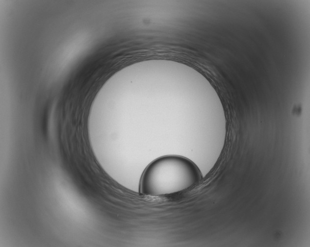 X0000111230429200907021028