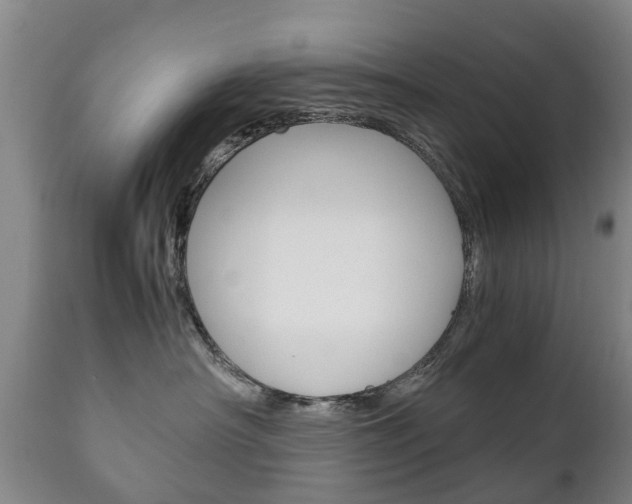 X0000111230430200907021028