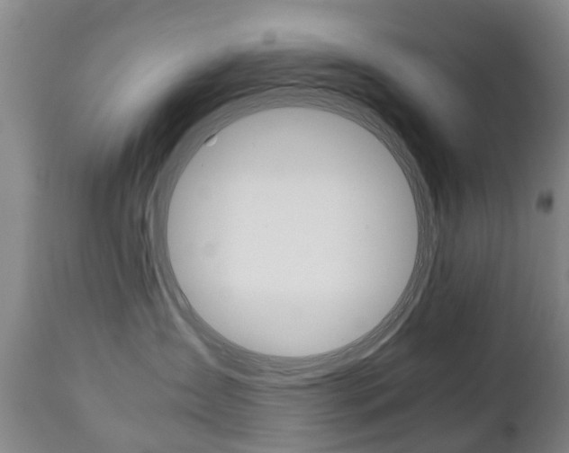 X0000111230431200907021028