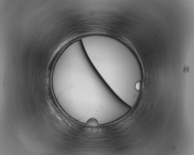 X0000111230435200907021027