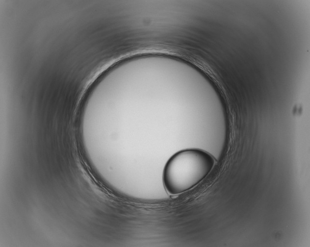X0000111230436200907021027