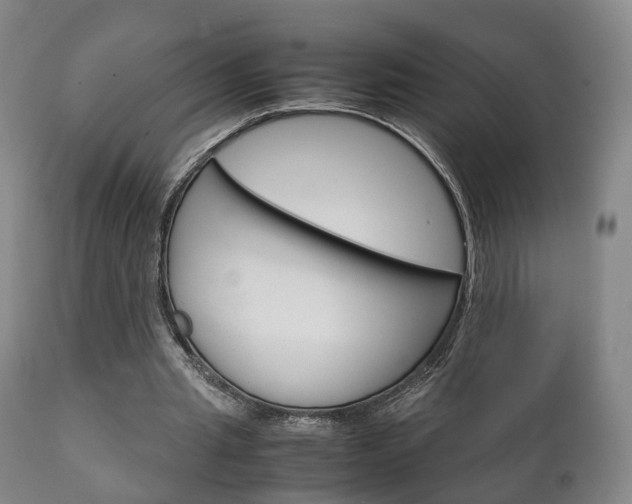 X0000111230437200907021027