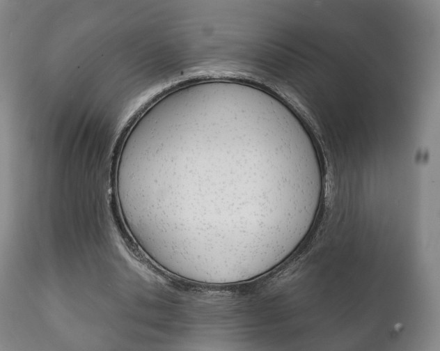 X0000111230438200907021028