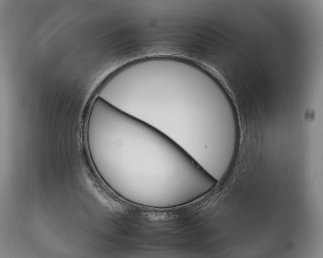 X0000111230439200907021028