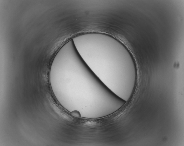 X0000111230441200907021028
