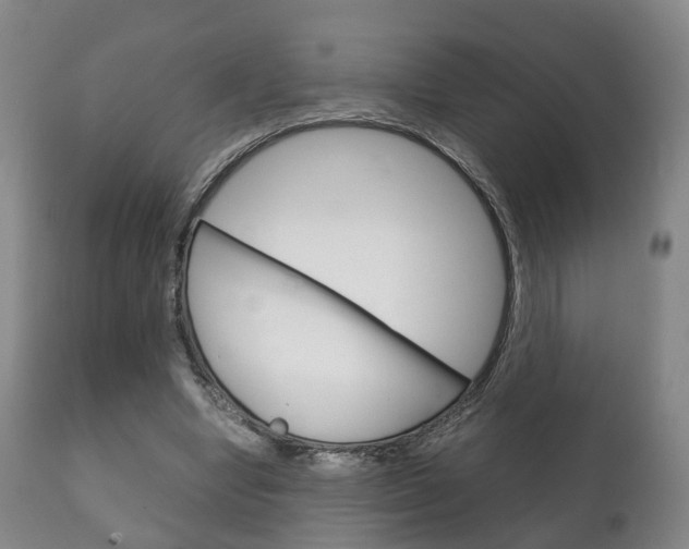 X0000111230442200907021028
