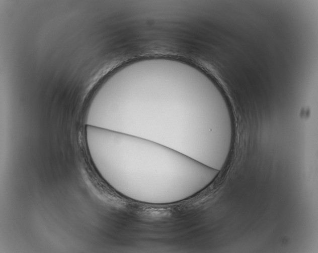 X0000111230443200907021028