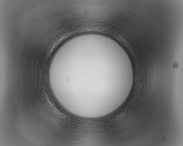 X0000111230444200907021028