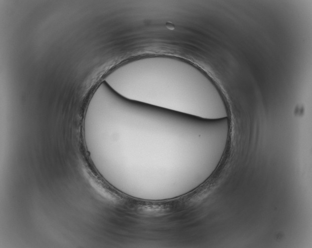 X0000111230445200907021028