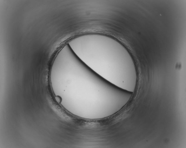 X0000111230446200907021028