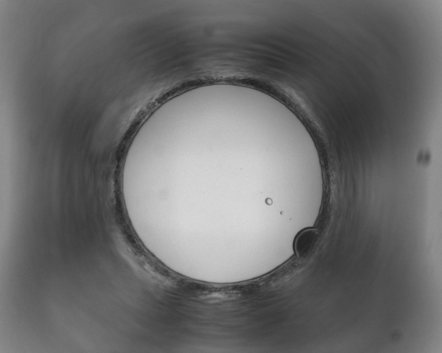 X0000111230447200907021028
