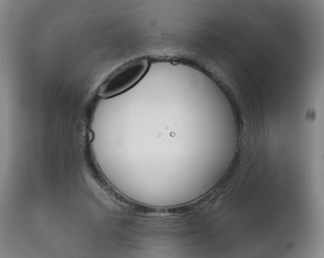 X0000111230448200907021028