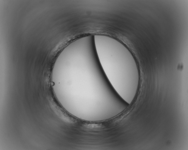 X0000111230449200907021028