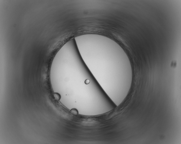 X0000111230451200907021028