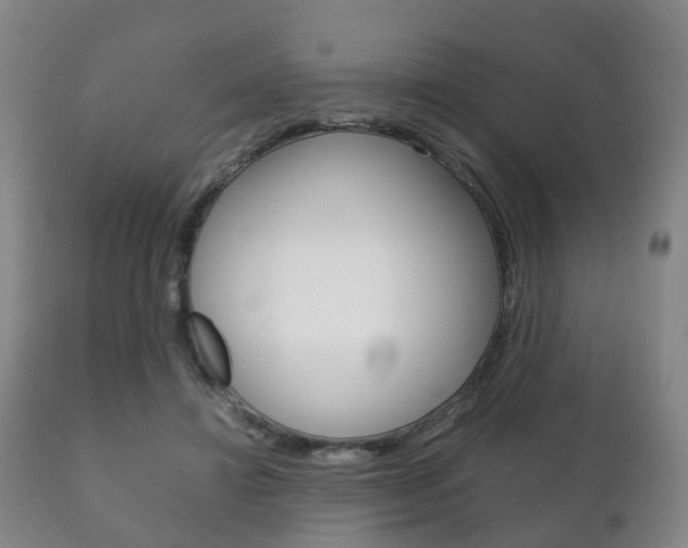 X0000111230452200907021028