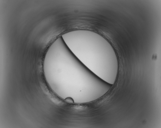 X0000111230453200907021028