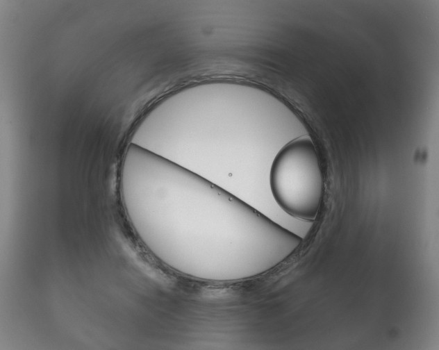 X0000111230454200907021028
