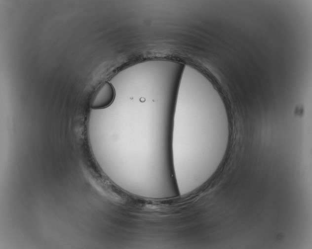 X0000111230455200907021028