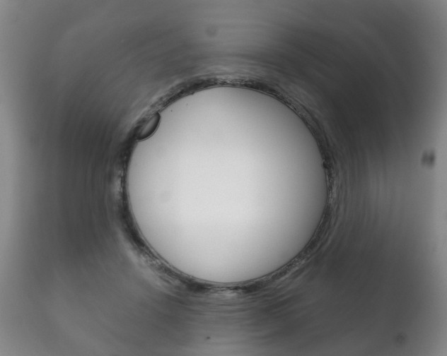 X0000111230456200907021028