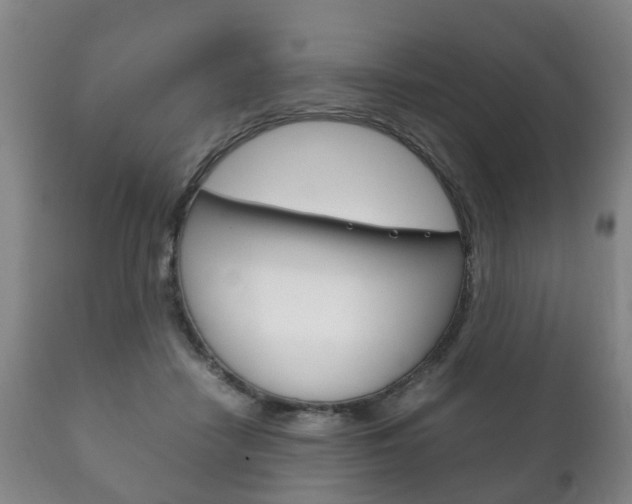 X0000111230458200907021028