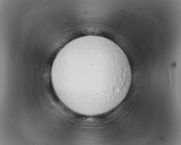 X0000111230460200907021028