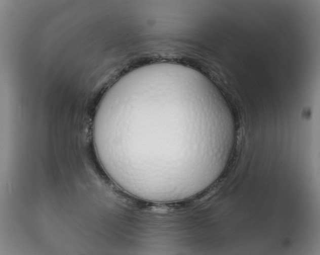 X0000111230464200907021028
