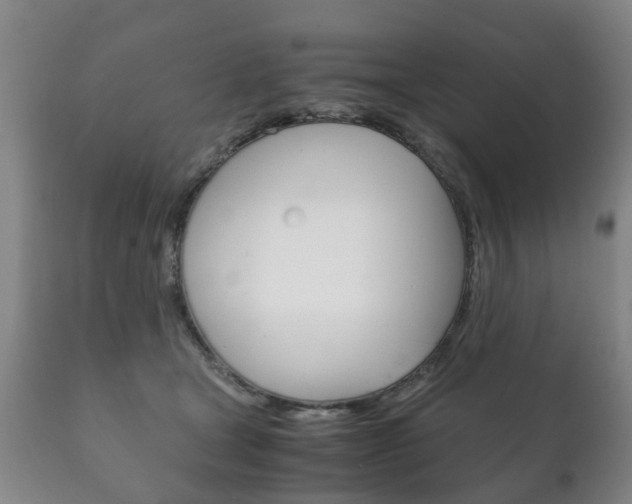 X0000111230465200907021028