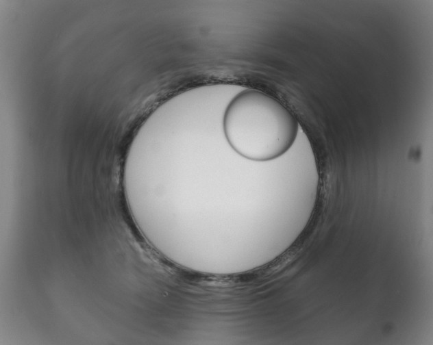 X0000111230466200907021028