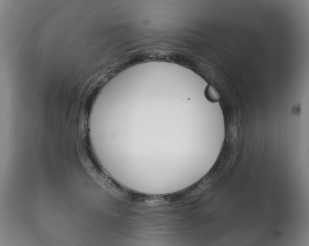X0000111230468200907021028