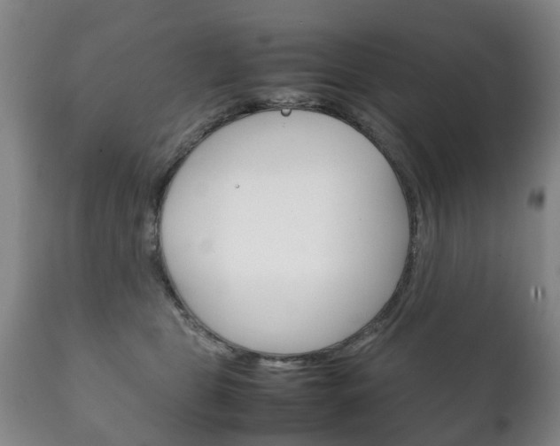 X0000111230469200907021028