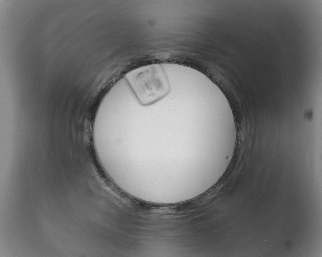 X0000111230470200907021028