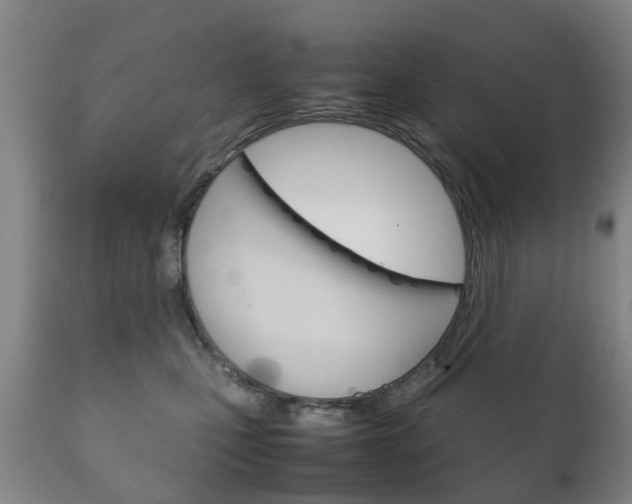 X0000111230471200907021028