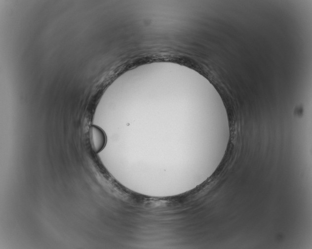 X0000111230472200907021028