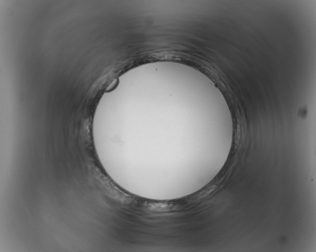 X0000111230473200907021028